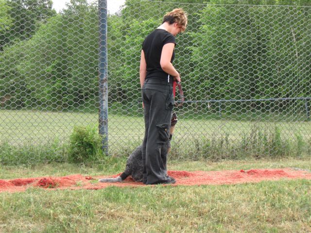 IMG_1304.JPG