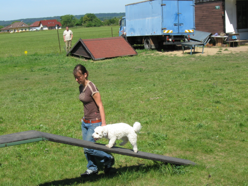 IMG_1909_99_1.JPG