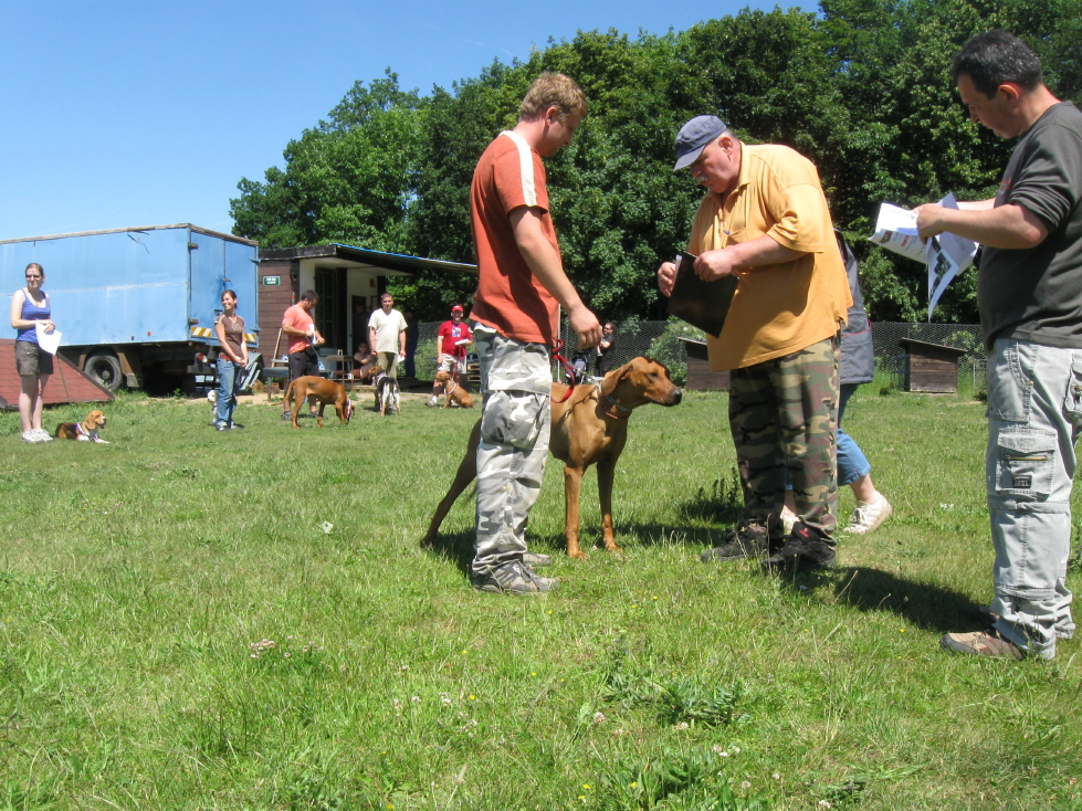 IMG_2023_191_1.JPG