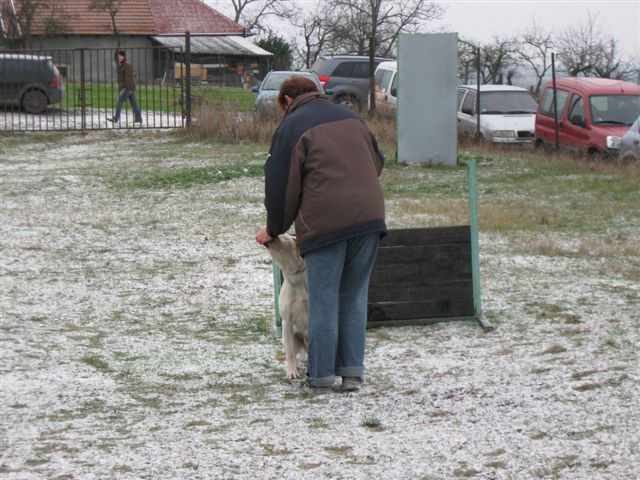 IMG_2688_52_1.JPG