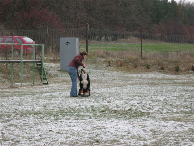 IMG_2728_92_1.JPG