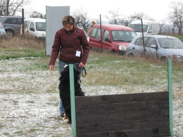 IMG_2747_111_1.JPG