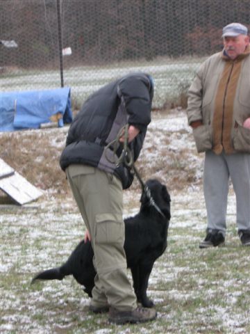 IMG_2798_162_1.JPG