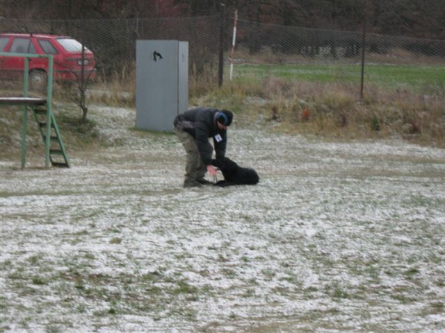 IMG_2808_172_1.JPG