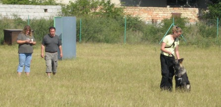c 032.jpg