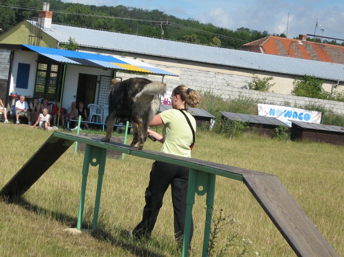 c 033.jpg