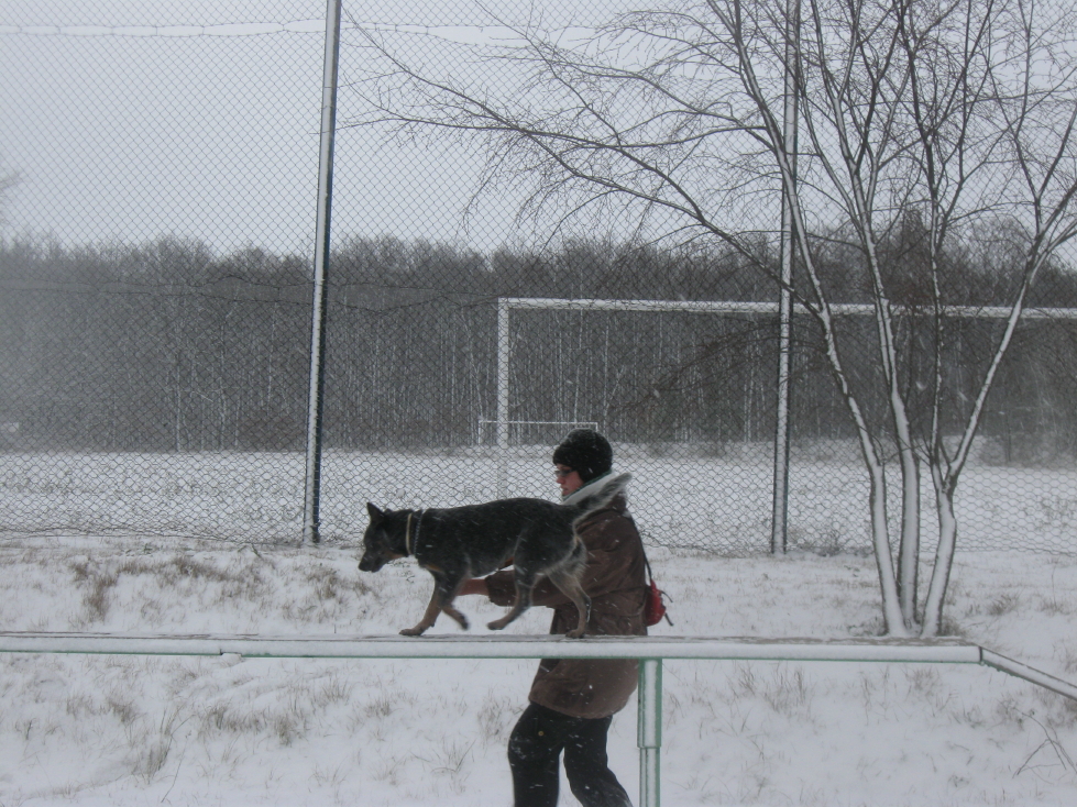 IMG_0330_33_1.JPG